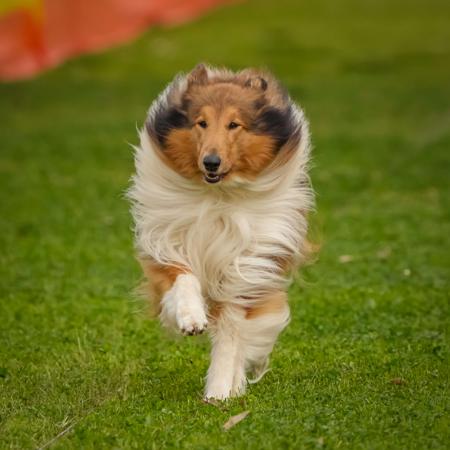 Click to view more details