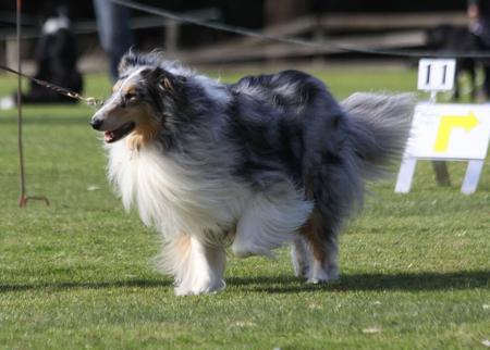 Click to view more details