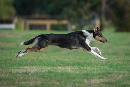 Click to view more details