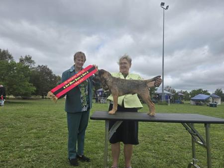 Click to view more details