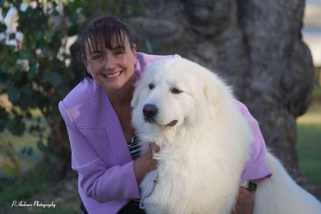 Maremma Sheepdog for sale by SCINTILLI