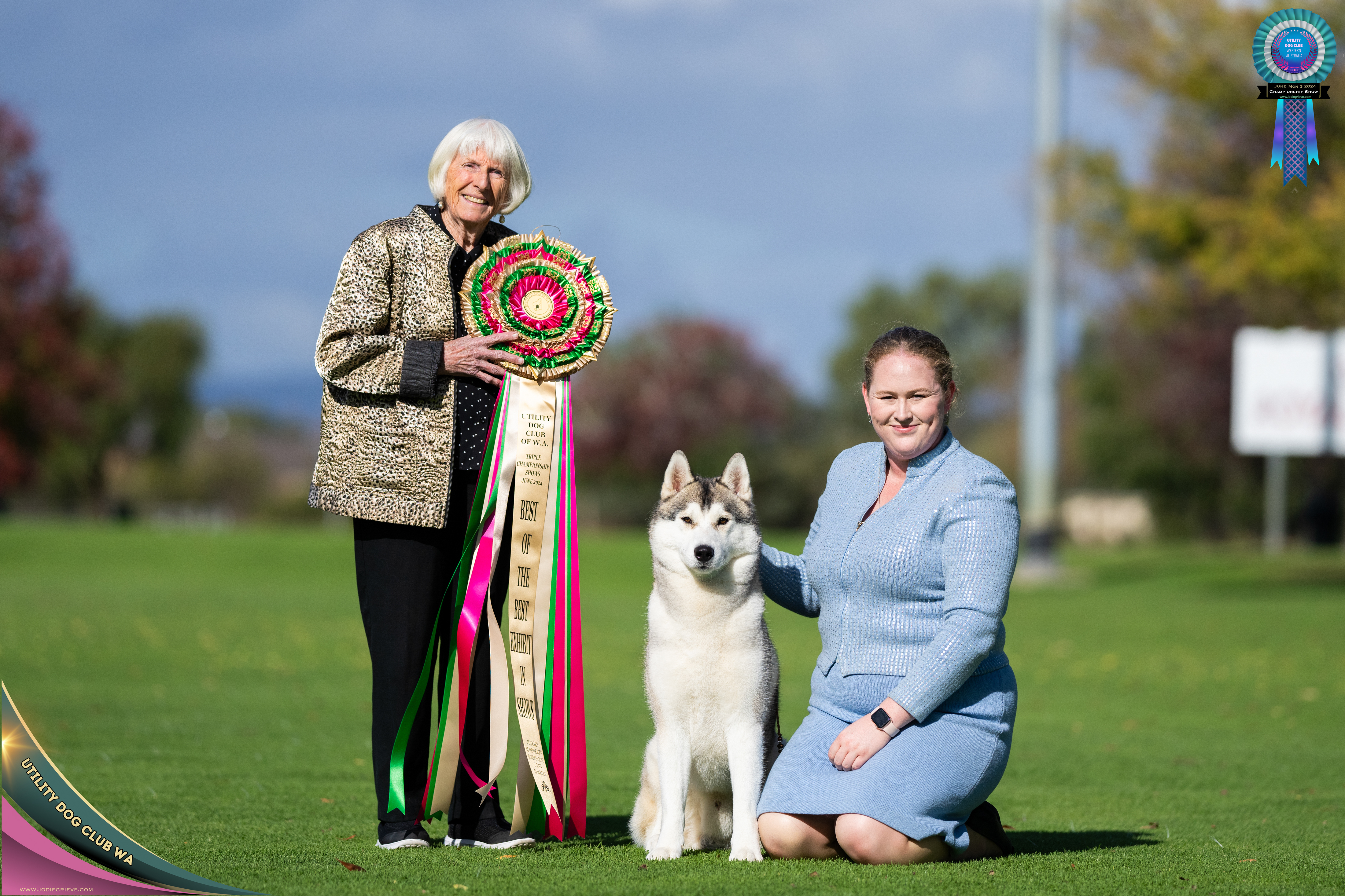 Siberian Husky for sale by INUUSIK