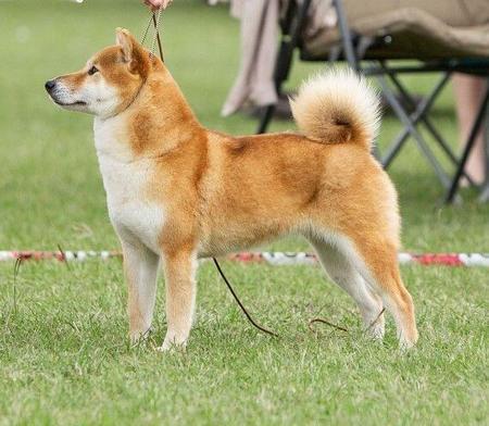 Click to view more details