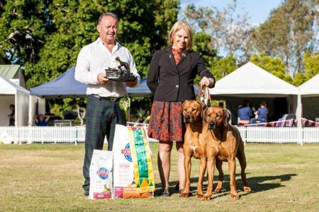 Rhodesian Ridgeback for sale by MACUMAZAHN