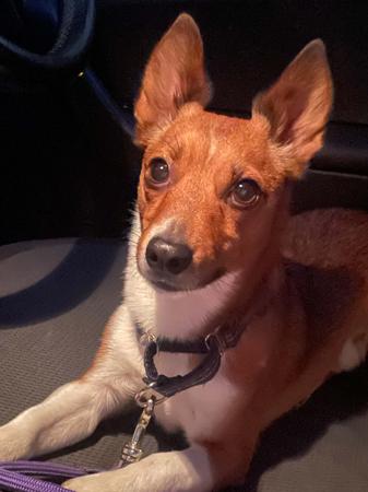 https://dkw0th85j7rqd.cloudfront.net/uploads/ap-southeast-2:864eab35-ee0d-4d78-b1ce-270dfbeef9e3/1779617766824-qux408-STOOKIE1977.jpg