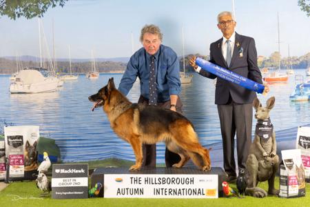 Click to view more details