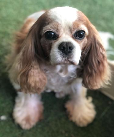 Click to view more details