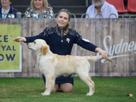 Click to view more details