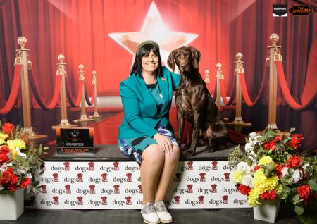 German Shorthaired Pointer for sale by WOODWYCH