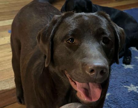 Click to view more details