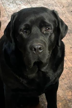 Click to view more details