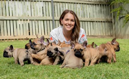 French Bulldog for sale by HFBULLDOGS