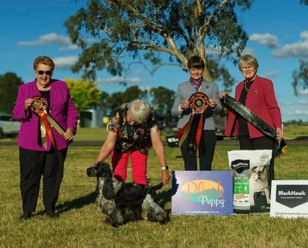 Click to view more details