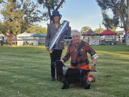 Click to view more details