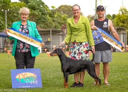 Multi BIS Ch Bravadobe Eternal Reflection Dobermann