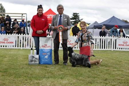 Click to view more details