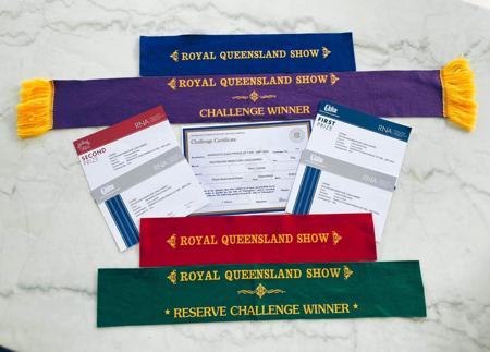 Dachshund (Miniature Long Haired) for sale by ANZORA