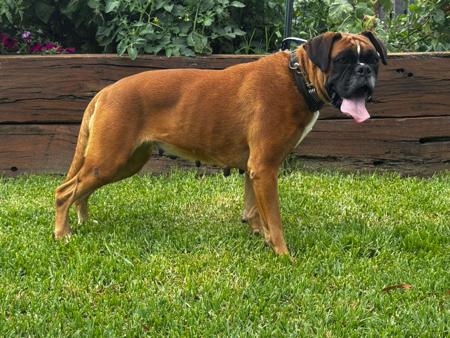 Click to view more details