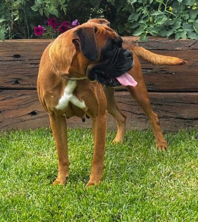 Click to view more details