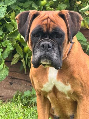 Click to view more details