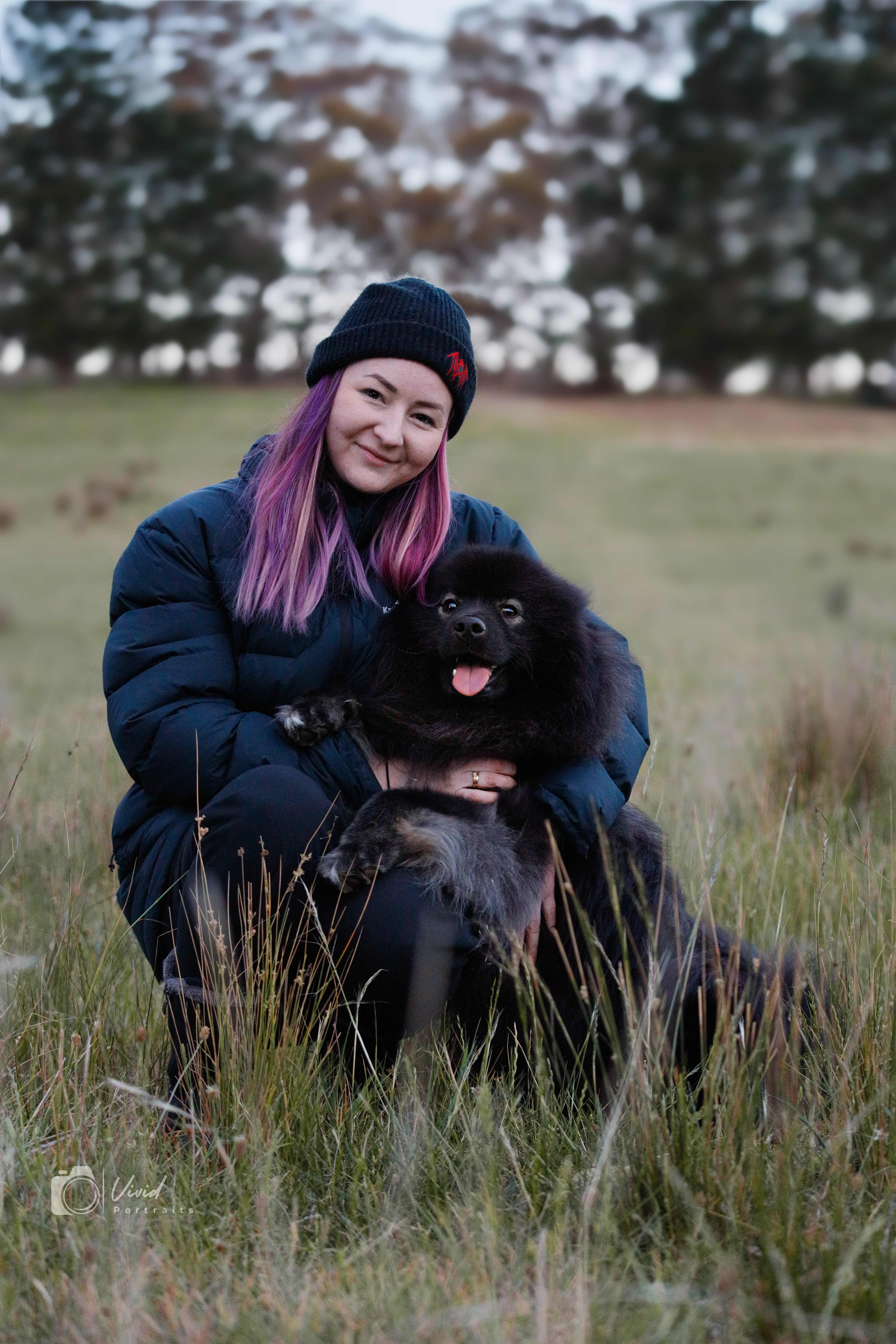 Finnish Lapphund for sale by BRIPAGE