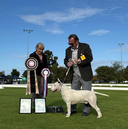 Click to view more details