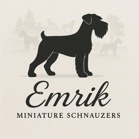 Schnauzer (Miniature) for sale by EMRIK