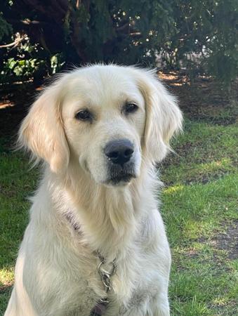 Click to view more details