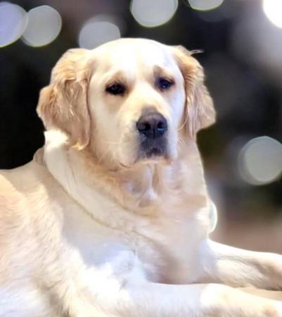 Click to view more details