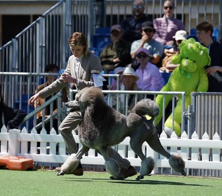 Click to view more details