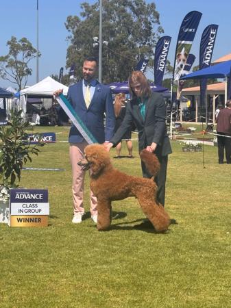 Click to view more details