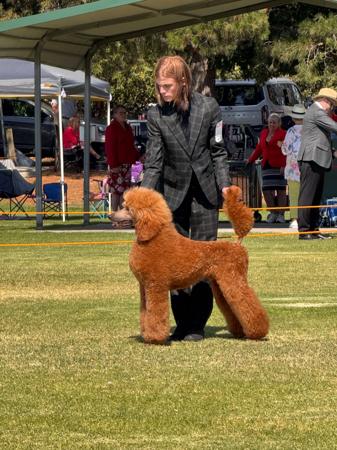 Click to view more details