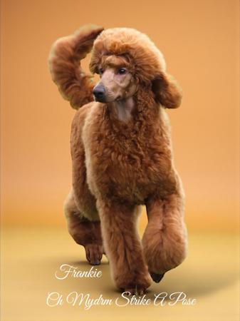 Click to view more details