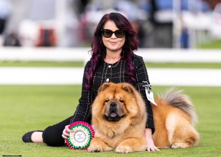 Chow Chow for sale by MOONCHOW