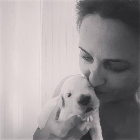 Golden Retriever for sale by IKENTRIEVE