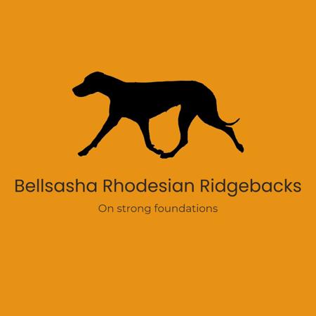 Rhodesian Ridgeback for sale by JULIEDAVID13