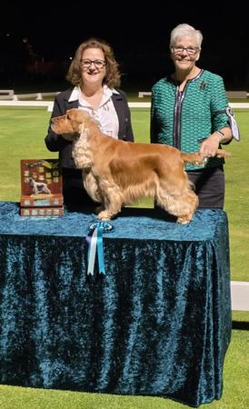 Click to view more details