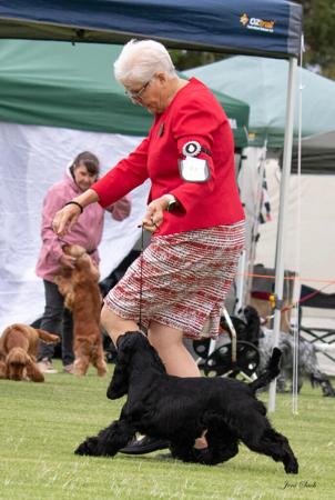 Click to view more details