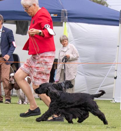 Click to view more details