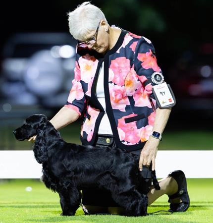 Click to view more details