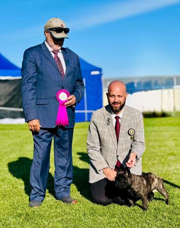 French Bulldog for sale by ODDSKI