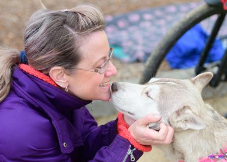 Siberian Husky for sale by DEBTIN