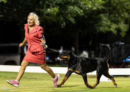 Click to view more details