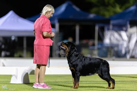 Click to view more details