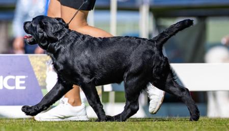 Click to view more details