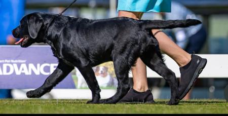 Click to view more details