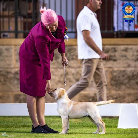 Click to view more details