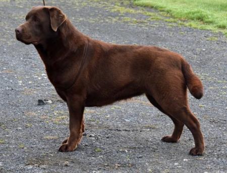 Click to view more details