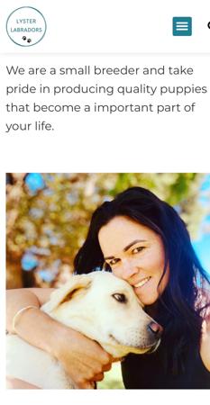 Labrador Retriever for sale by LYSTER