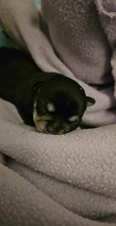 Click to view more details